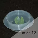mini_serre_semis