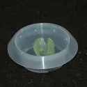 Se débarrasser des limaces