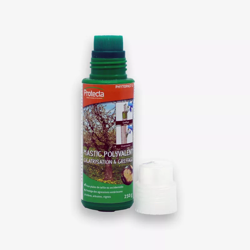 Mastic Polyvalent Cicatrisation & Greffage 250 g