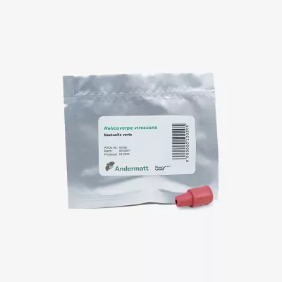 pheromone_tordeuse_verte
