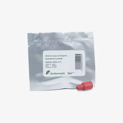 pheromone_heliothis_noctuelle_de_la_tomate_andermatt