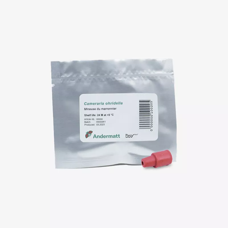 kit_pheromone_mineuse_marronnier_andermatt