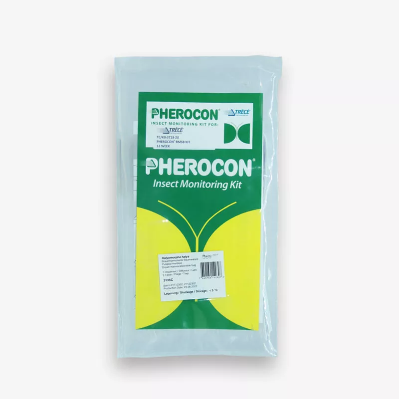 Kit phéromone Punaise Diabolique andermatt
