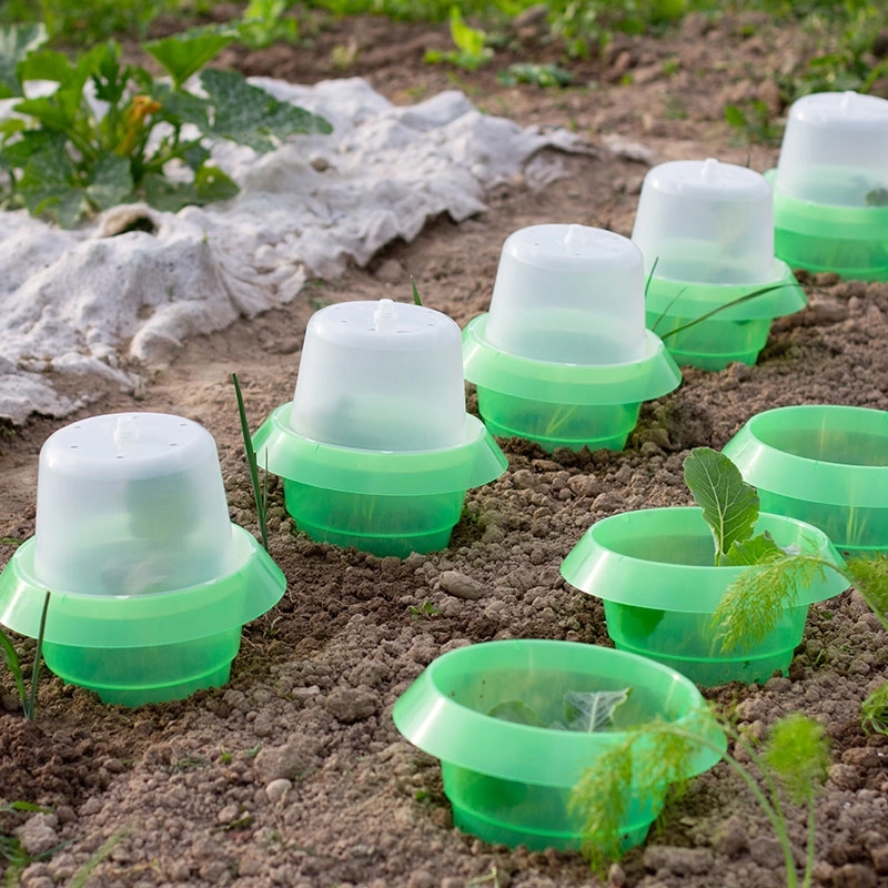 Cloches_mini_serres_andermatt_france