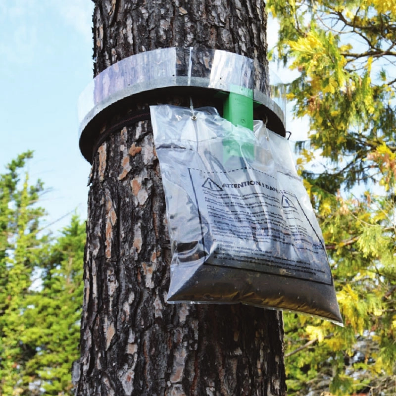 Sacs de rechange kit chenilles processionnaires