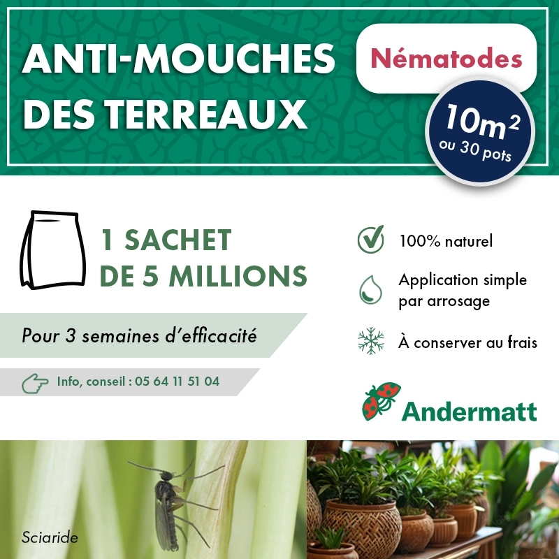 Nématodes pour mouches du terreau 5M