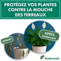 Nématodes pour mouches du terreau 5M