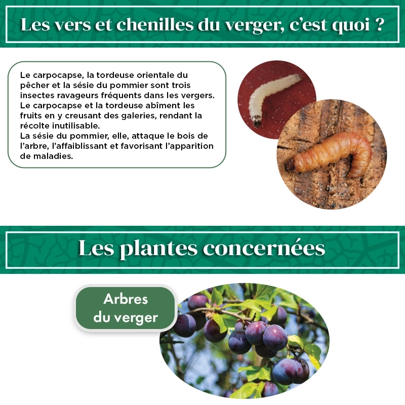 Nématodes pour Arbres Fruitiers 5M