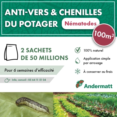 Nématodes  Mix pour Potager (2 x 50 millions)