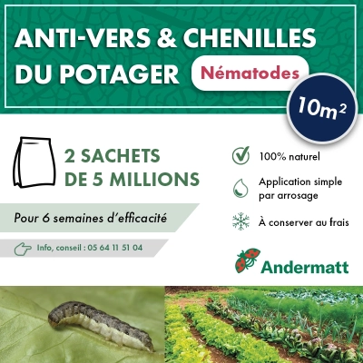 Nématodes  Mix pour Potager  (2x 5 Millions)