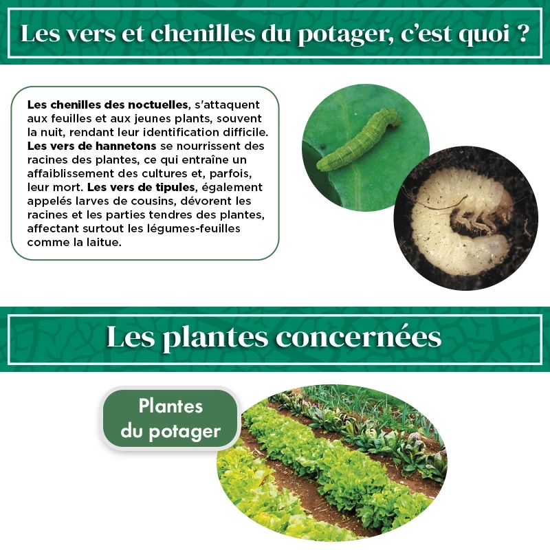 Nématodes  Mix pour Potager  (2x 5 Millions)