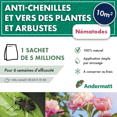 Nématodes pour Plantes et Arbustes 5M