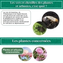 Nématodes pour Plantes et Arbustes 5M