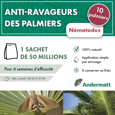 Nématodes pour Palmier 50 M