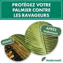 Nématodes pour Palmier 50 M