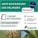 Nématodes pour palmier 5 M