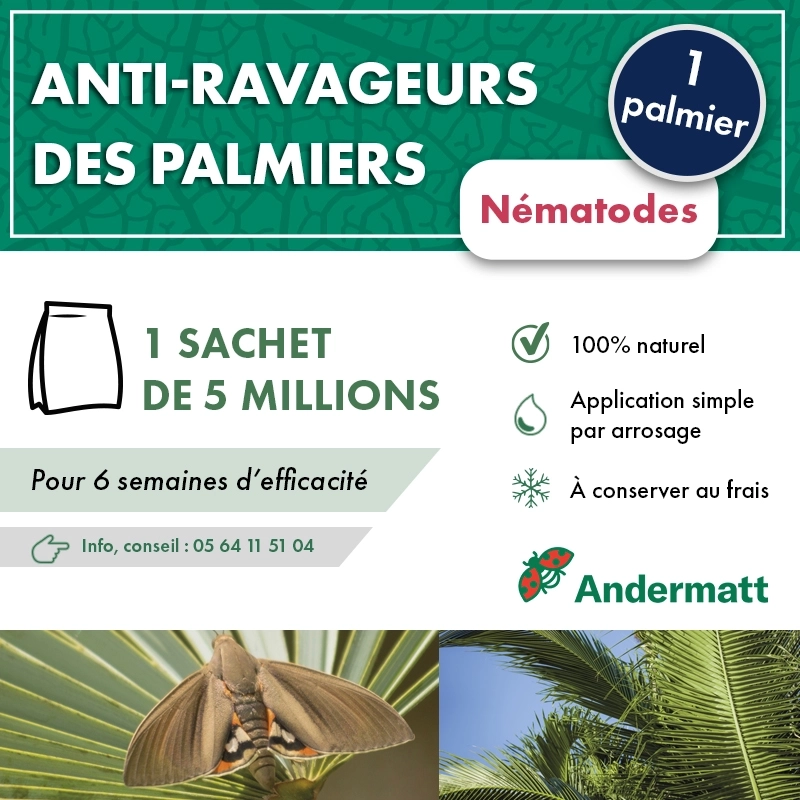 Nématodes pour palmier 5 M