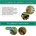 Nématodes pour gazon 5 M