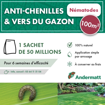 Nématodes pour gazon 50 M