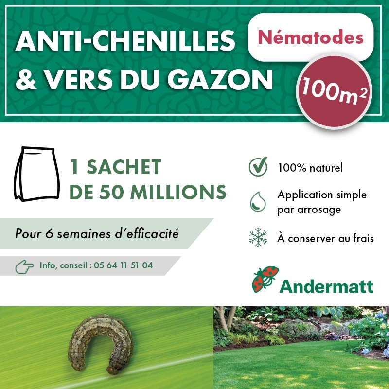 Nématodes pour gazon 50 M