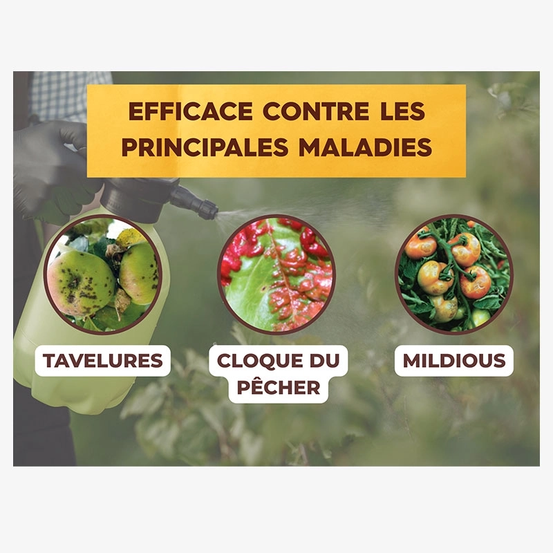 Bouillie Bordelaise non colorée 200gr