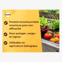 Bouillie Bordelaise non colorée 200gr