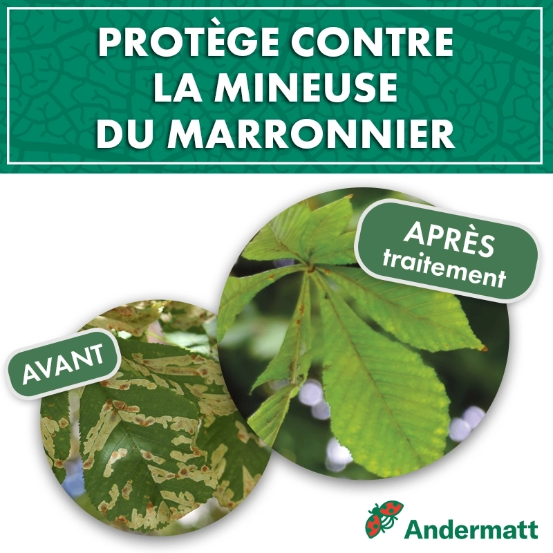 kit_pheromone_mineuse_marronnier_andermatt