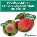 kit_pheromone_tordeuse_orientale_du_pecher_andermatt