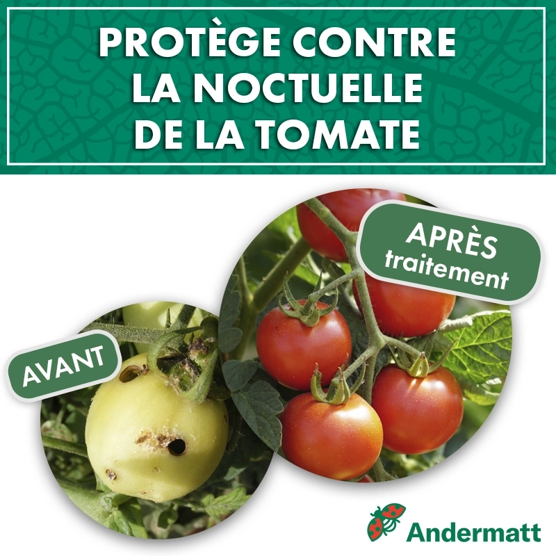 kit_pheromone_heliothis_noctuelle_de_la_tomate_andermatt