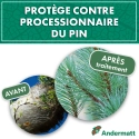 kit_pheromone_processionnaire_du_pin_andermatt