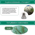 kit_pheromone_processionnaire_du_pin_andermatt