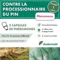 pheromone_cossus_gâte-bois-andermatt