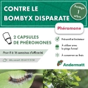 phéromone - Bombyx_andermatt