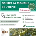 pheromone_mouche_de_l'olive_andermatt