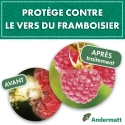pheromone_ver_du_framboisier_andermatt