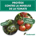 pheromone_mineuse_de_la_tomate_andermatt