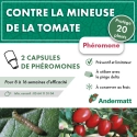 pheromone_mineuse_de_la_tomate_andermatt