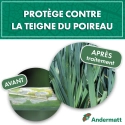 pheromone_teigne_du_poireau_andermatt