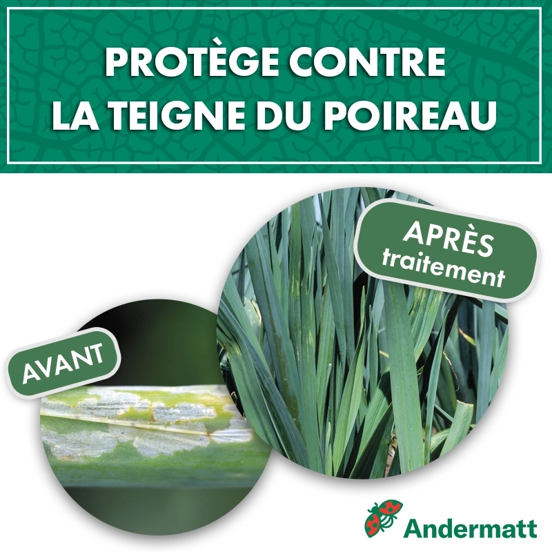 pheromone_teigne_du_poireau_andermatt
