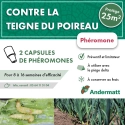 pheromone_teigne_du_poireau_andermatt