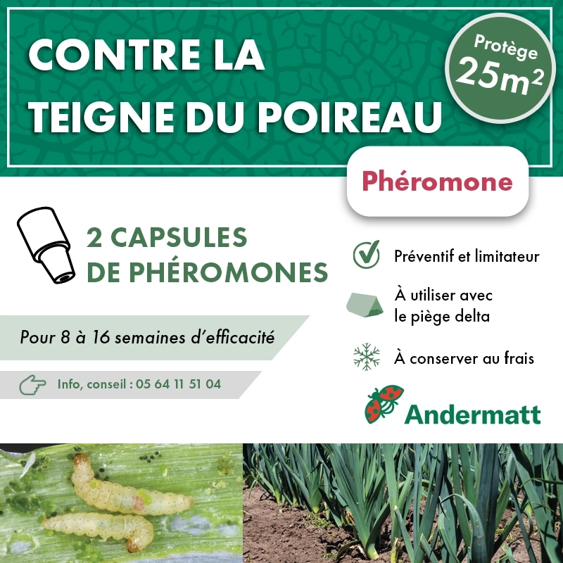 pheromone_teigne_du_poireau_andermatt