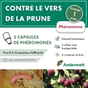 pheromone_carpocapse_des_prunes_andermatt