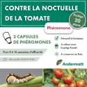 pheromone_heliothis_noctuelle_de_la_tomate_andermatt