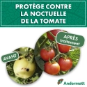 pheromone_heliothis_noctuelle_de_la_tomate_andermatt