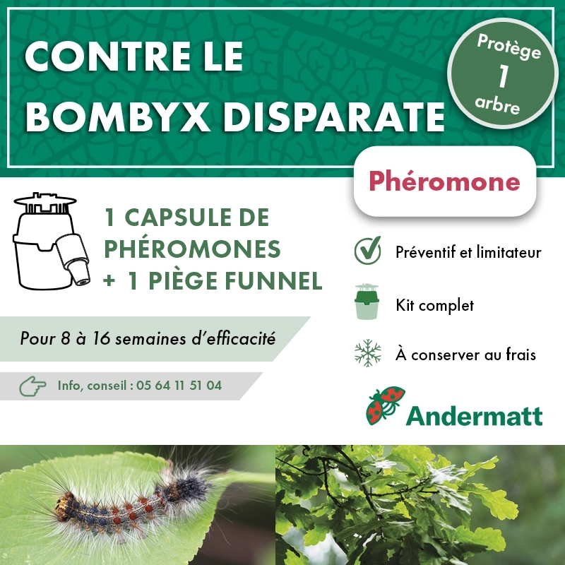 Kit piège phéromone Bombyx